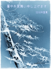 暑中お見舞い
