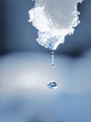 一瞬（とけた雪からの水滴）