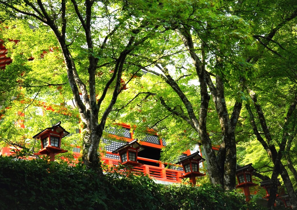 朱のお堂