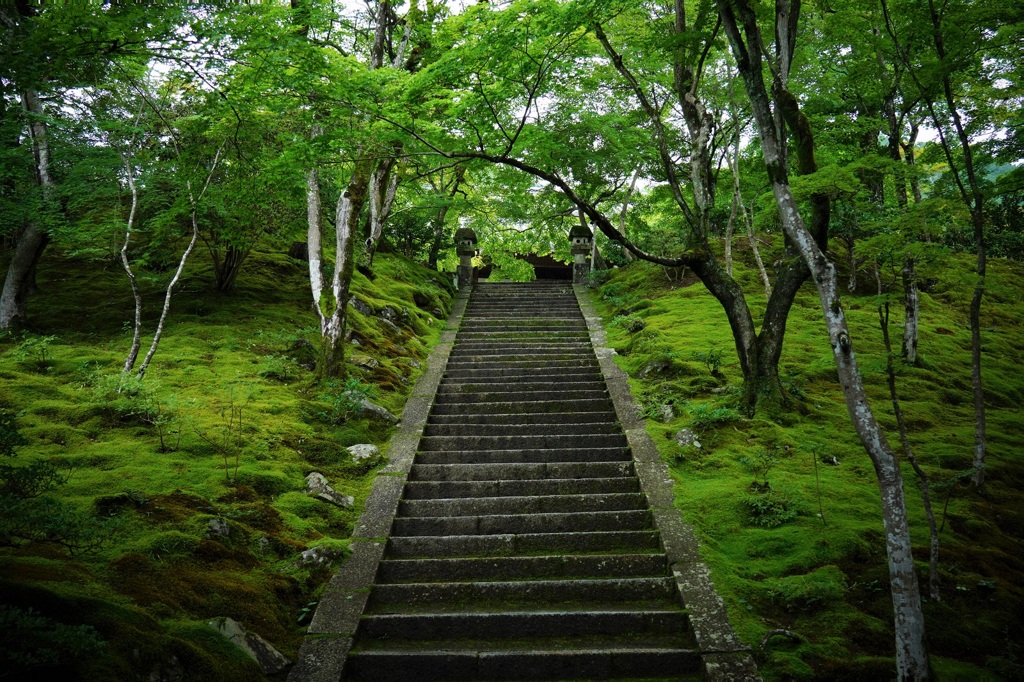 この石段を登ると・・・