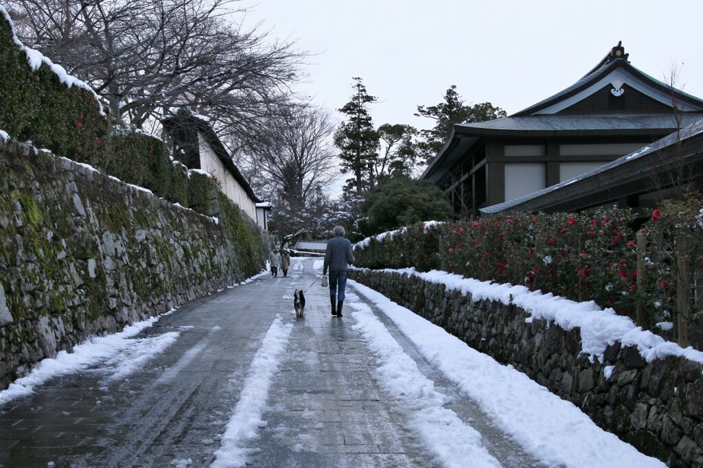 雪の日