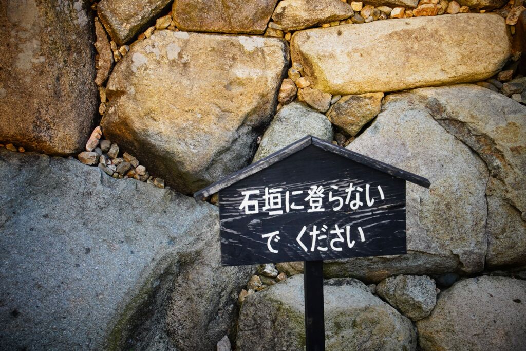 登りません(・・；