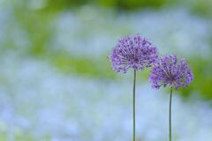 ５月の日差し