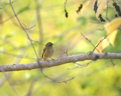 おっ帰えりぃ～＾＾