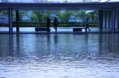 水辺に憩う