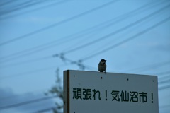 東北へ (2)