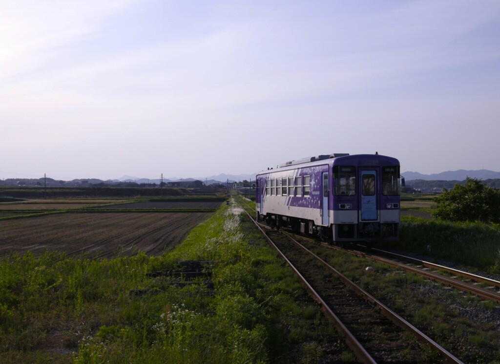 そろそろ夕暮れ