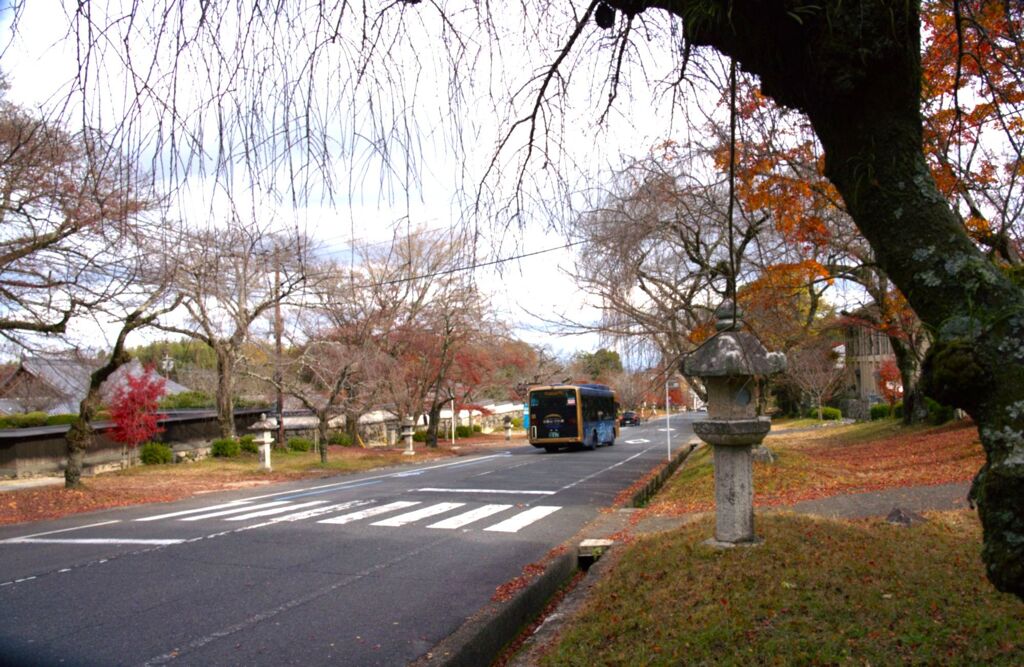 もみじ坂をバスは行く