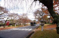 もみじ坂をバスは行く