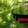 新緑の鳥居