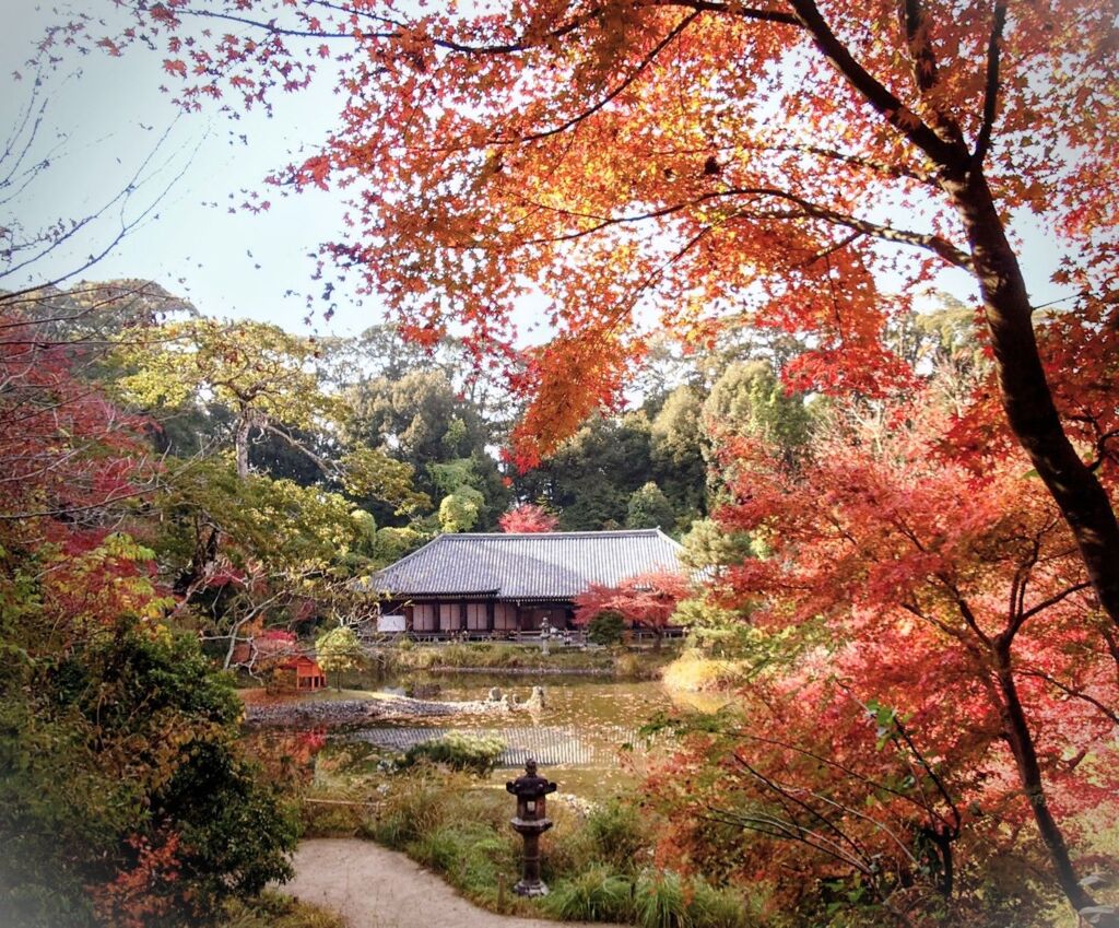 紅葉越しのお堂