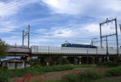 高架の線路　(貨物列車が来た！）