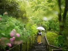 雨の思い出