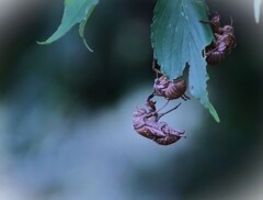 みんな元気に飛び回ったかな・・・