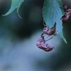 みんな元気に飛び回ったかな・・・