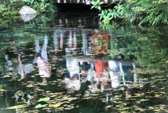 池の周りは人でいっぱい