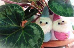 Xmasは二人で・・・♪