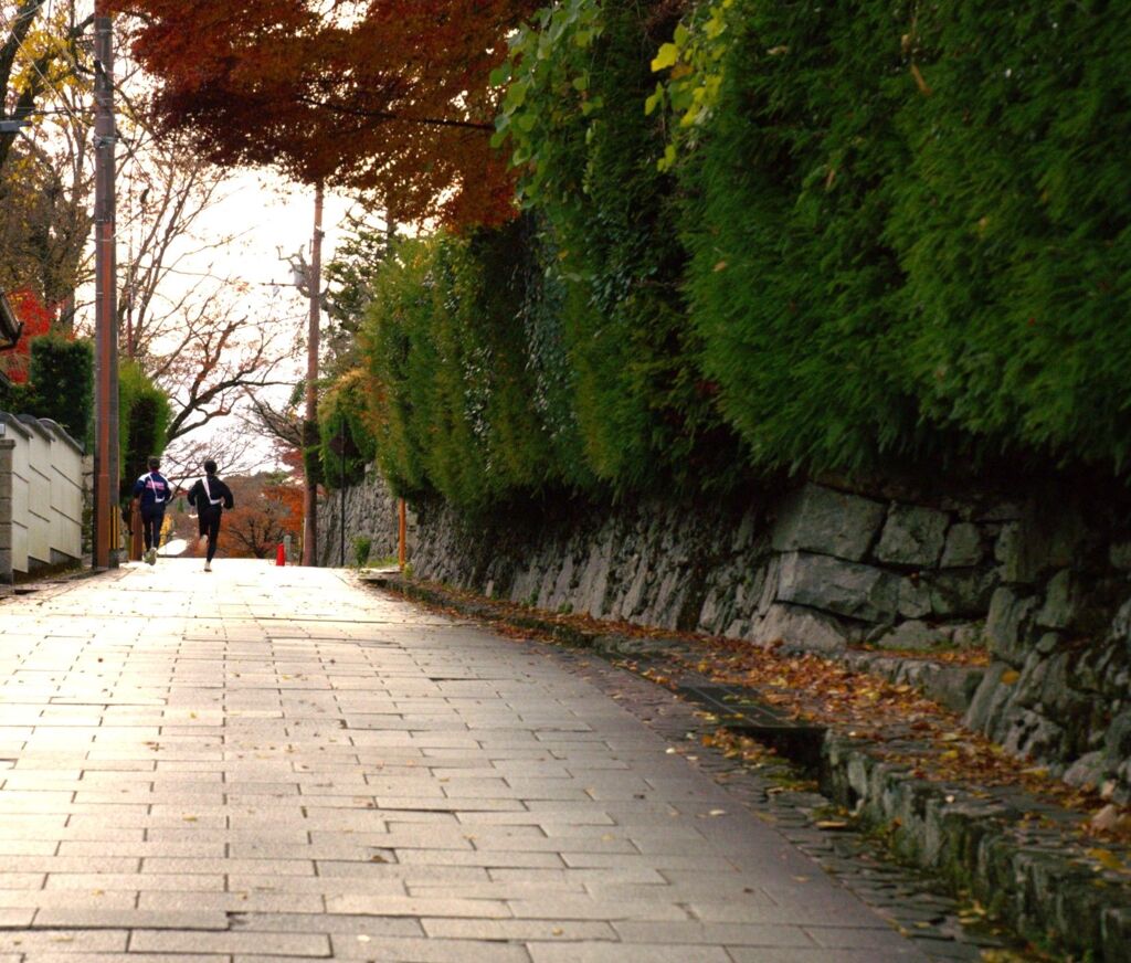 晩秋を駆け抜ける