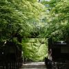 新緑の山門