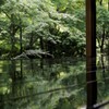 深緑の候