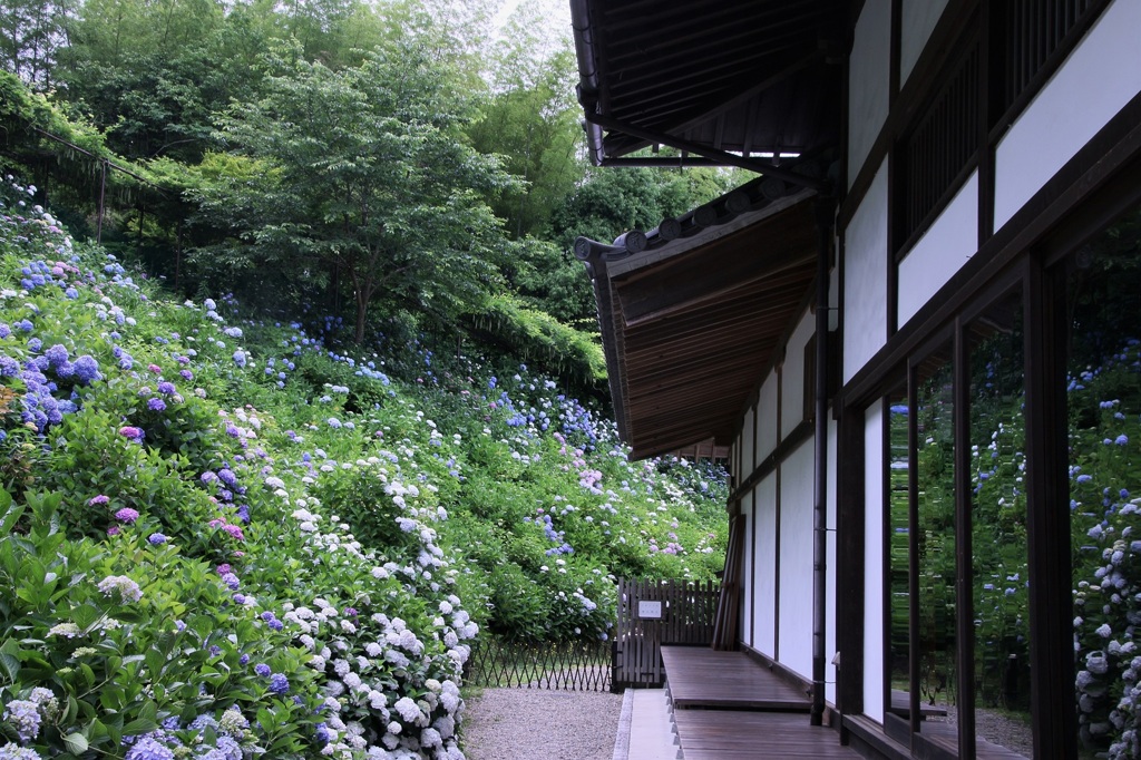 紫陽花寺のガラス戸