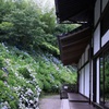 紫陽花寺のガラス戸