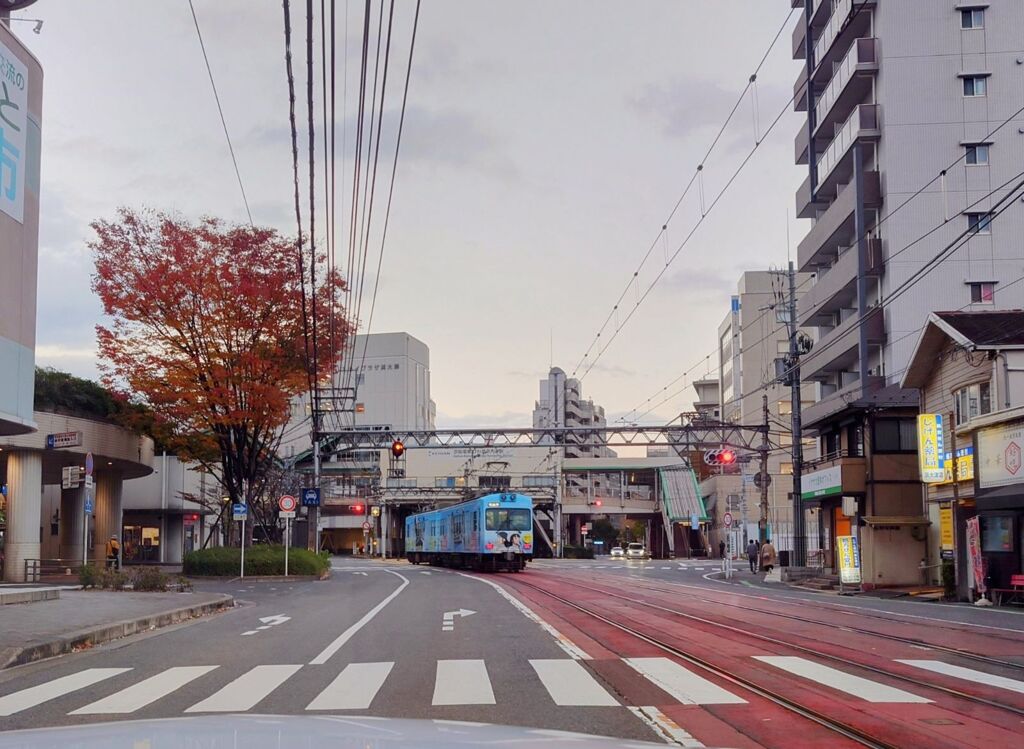 こっちに来た！