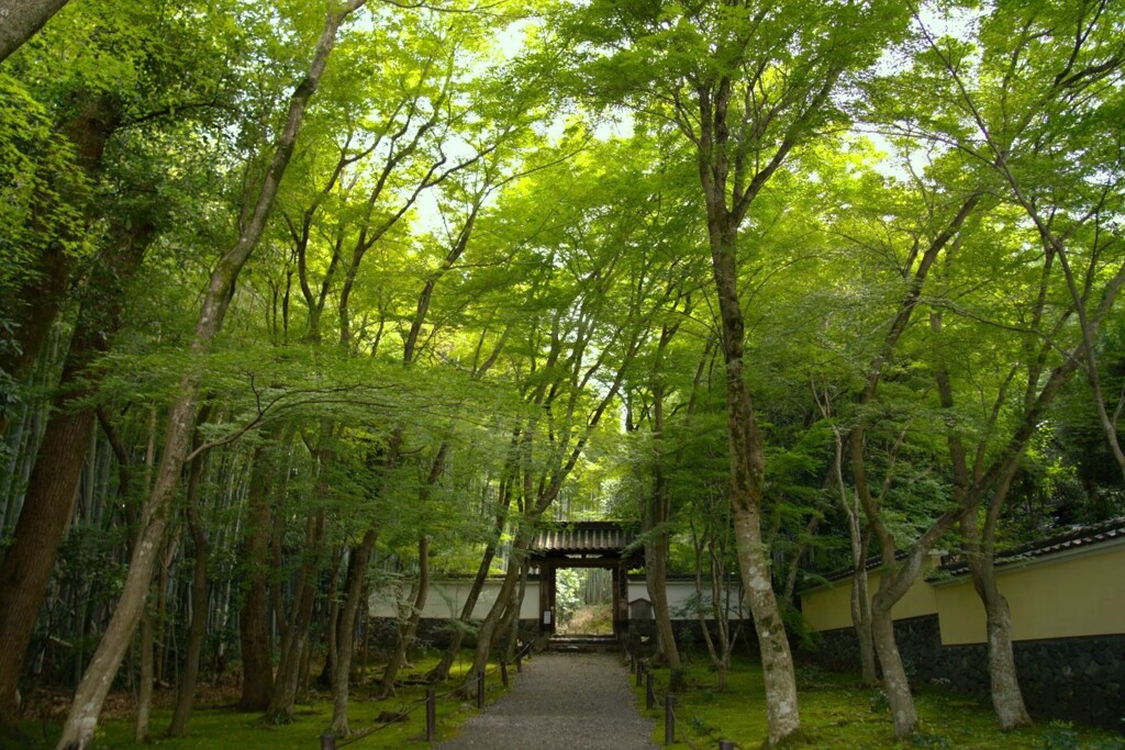 一休さんのお寺