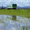やっと水が