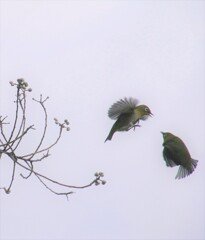 どうしたどうした！