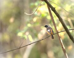 この角度でいいっすか～？