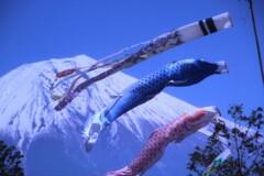 日本一のお山を泳ぐ