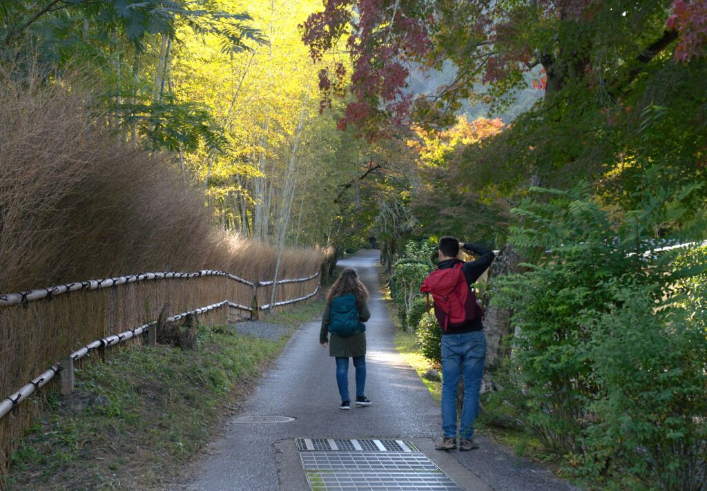竹垣のある坂道