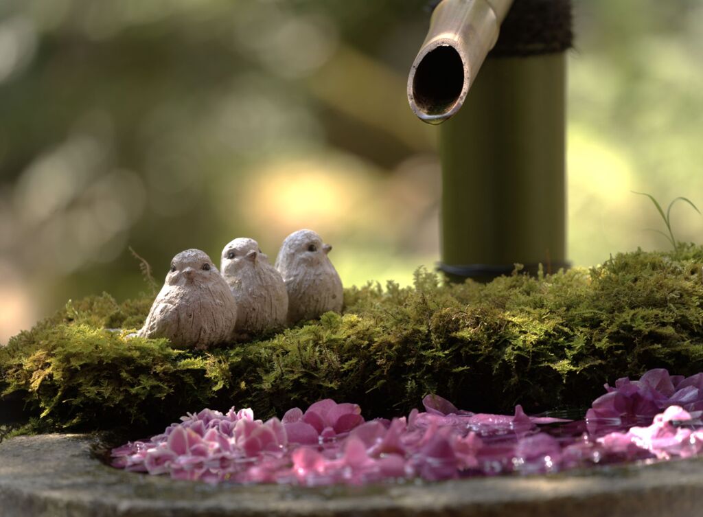 ３羽の小鳥