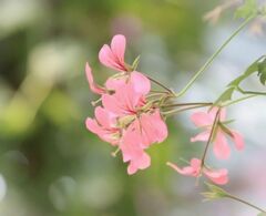 信頼