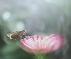 夏の終わり