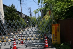 東北（４）　帰還困難区域
