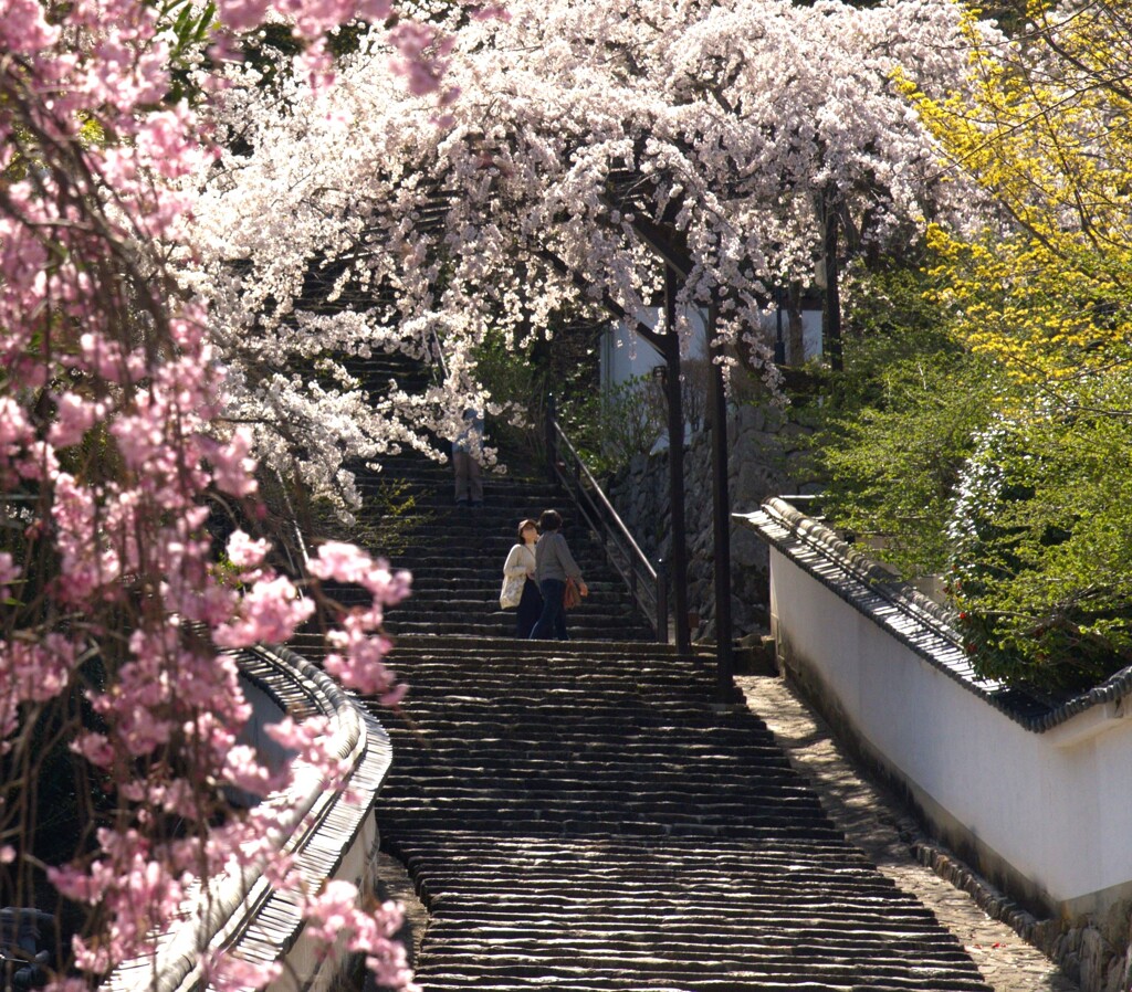 春のおしゃべり