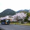 桜坂をバスは行く