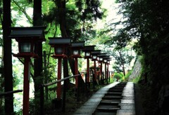 雨上がりの参道