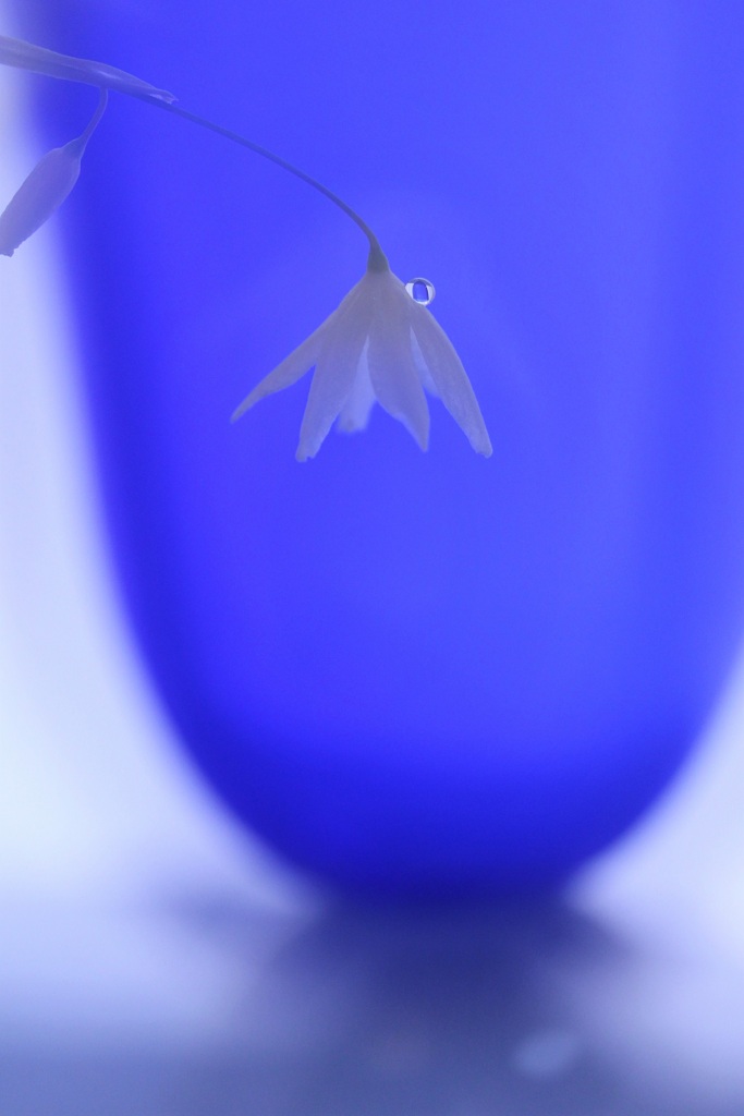 青いグラス