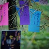 うん、大丈夫！( ｀ー´)ノ