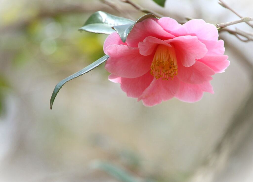 会えて良かった