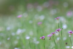 束の間を楽しそう