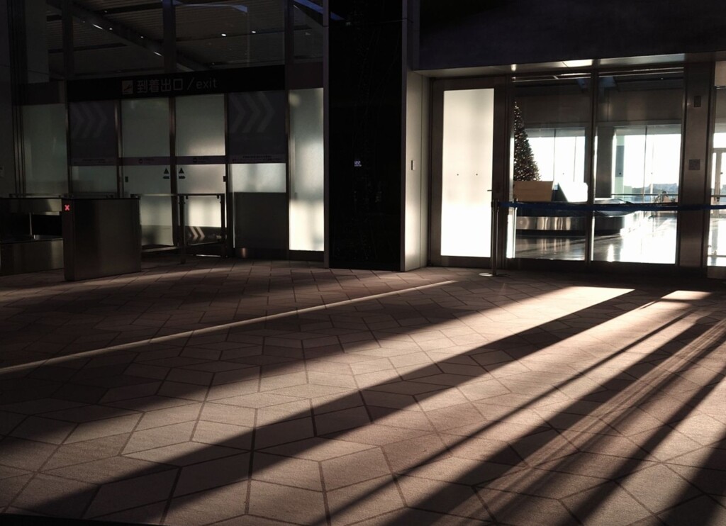 ハイハイハイ、お迎えですね　(・へ・)