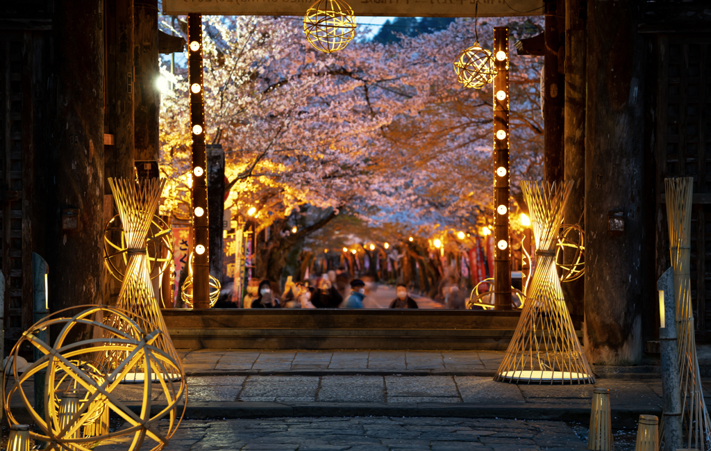 夜桜と竹のぬくもり