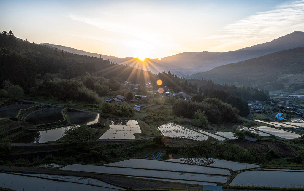 棚田の朝