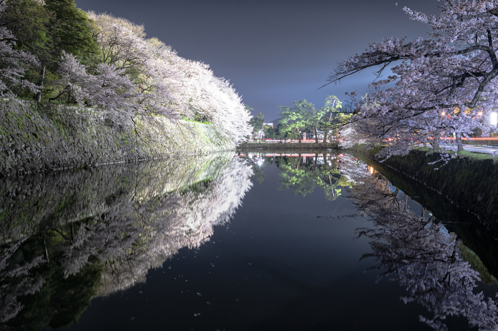 桜巡り②