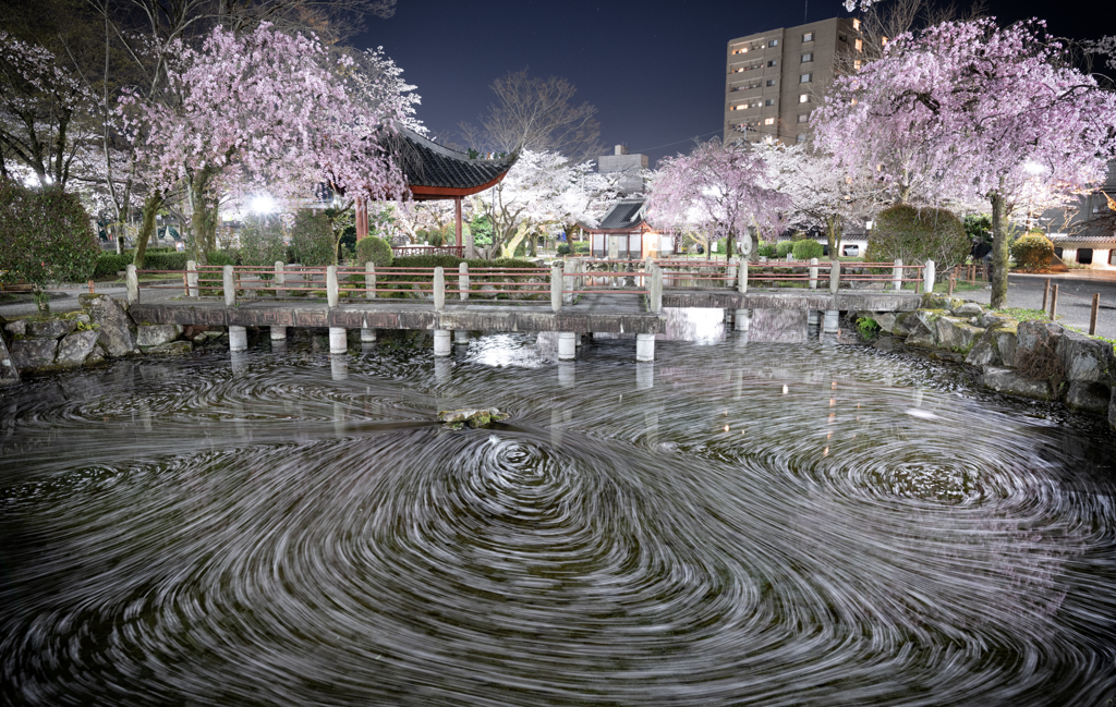 春の夜活