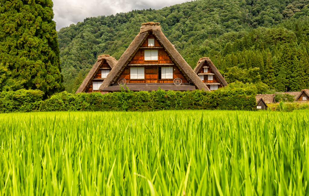 真夏の白川郷